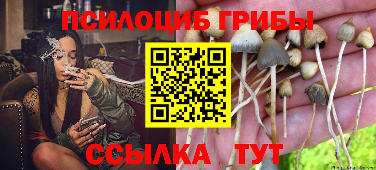 Псилоцибиновые грибы Коркино