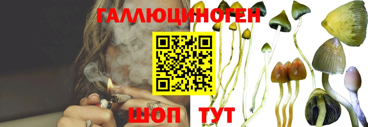 Галлюциногенные грибы Cubensis Коркино